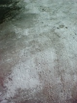 6c013121.jpg