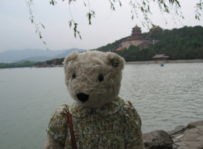 テディベア中国の旅6