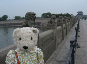 テディベア中国の旅9