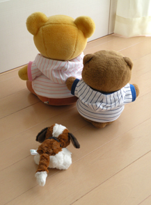 お引越し5