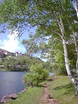 白樺湖は秋に