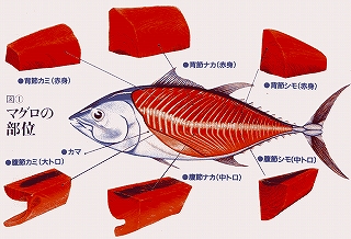 疲れ・疲労軽減