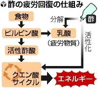 疲労・夏バテ