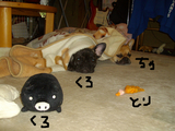 BlogPaint