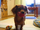 5446a465.JPG