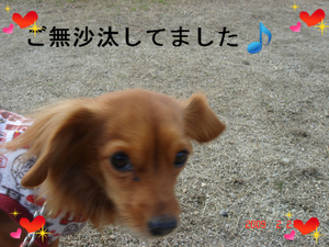 BlogPaint