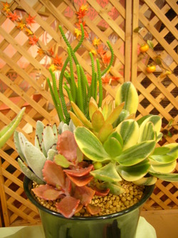 P1040098