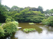P1020028