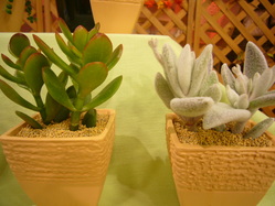 P1040102