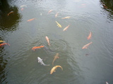 P1020029