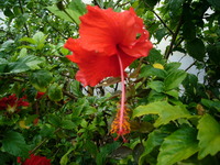 P1030444