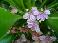 P1030407