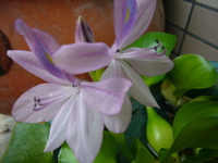 P1020054
