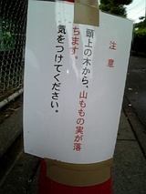 ヤマモモの看板