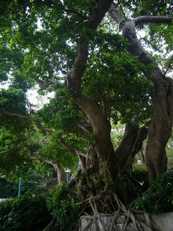 P1040013