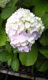 83efa0f0.jpg