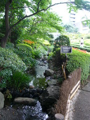 P1020033