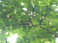P1020043