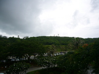 P1030401