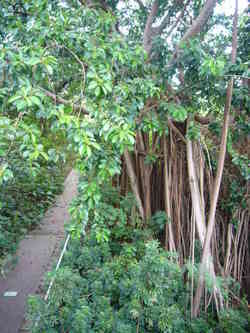 P1040025