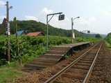 ��ë�����������ء��ۡ���2006