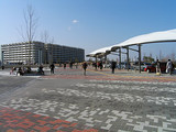 ��ë�쥤����������̸�����