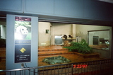 ueno4