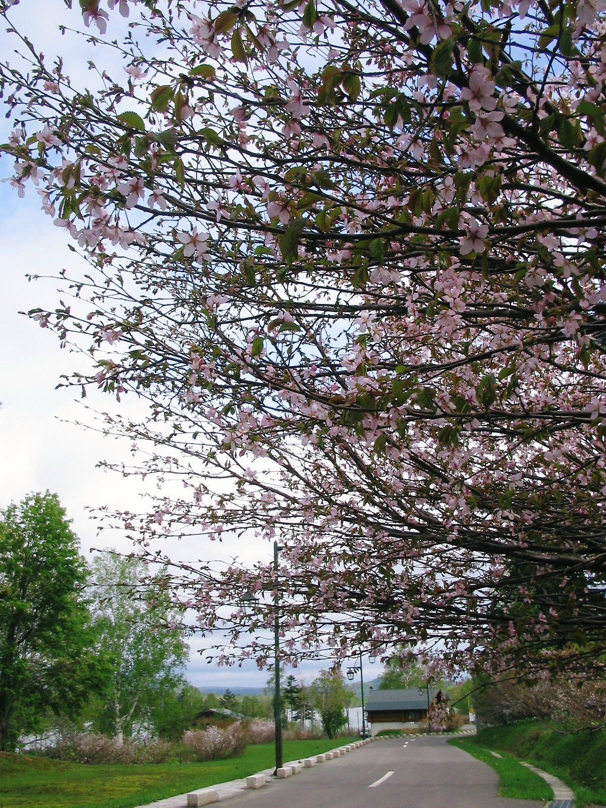 road