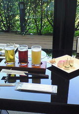 ビールとカマボコ