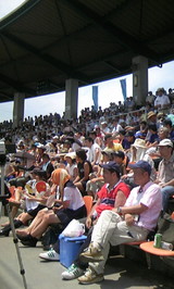 3b52ed02.JPG