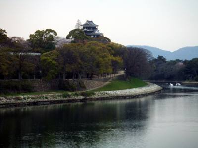 37f32e59.jpg