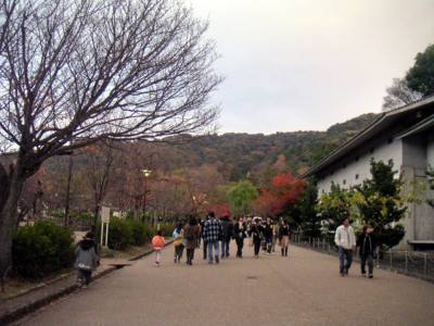 c884010e.jpg