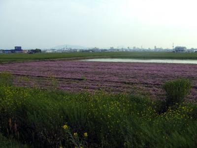 d7497c93.jpg