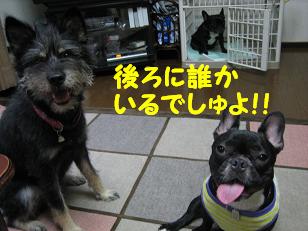 ï���ʡ�
