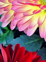 76f3b319.jpg