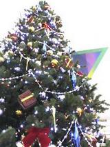 195a86f4.jpg
