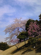 355296ef.jpg