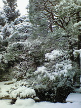 3a6747fb.jpg