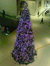 63bf8266.jpg