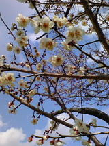 70b262f5.jpg