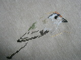 0628_bird