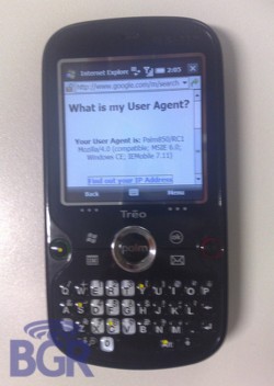 bgr-treo-85020080522.jpg