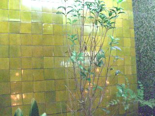 ����ܳ��掣Ź��08