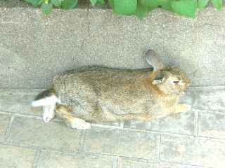 ��β�����14���������ӽ�����ͤ����Ǥ���
