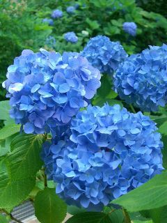 ���08