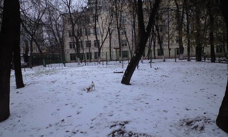 CA398693