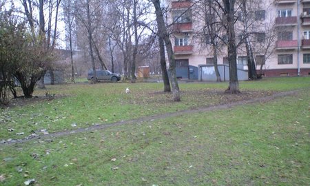 CA398752