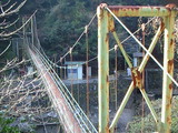 374d2336.jpg