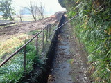 d37741d6.jpg