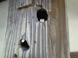 e07720ab.jpg